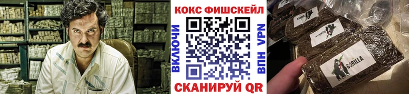 COCAIN Fish Scale  Купить  Мытищи 
