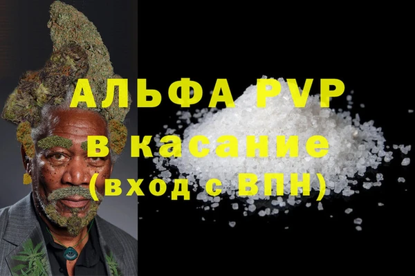 гашик Козельск