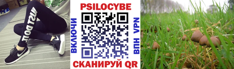 Галлюциногенные грибы Cubensis  Купить где  Мытищи 